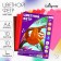 Color felt set, thickness 1 mm, A4 format, soft, 10 sheets, 10 colors, sunny colors