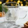 Glass mug with double walls "Fox", 300 ml