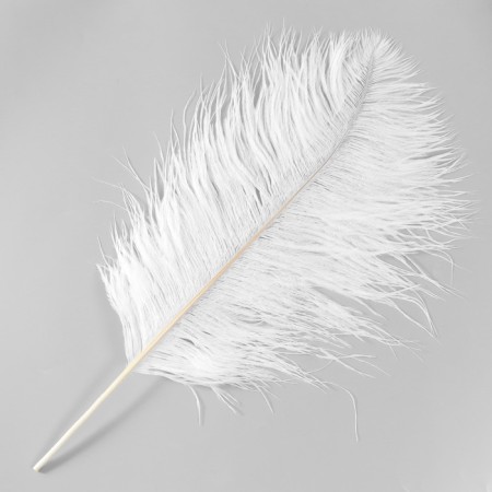 Perum Premium Perum 40-45 cm, white-1