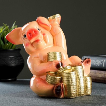 Pigger "Pig with coins" 19x21x13cm