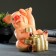 Pigger "Pig with coins" 19x21x13cm