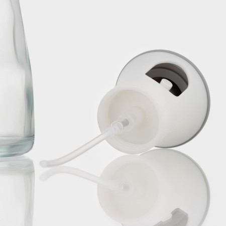 A sprayer for oil and vinegar Magistro "Dorm", 150 ml, color mix-3