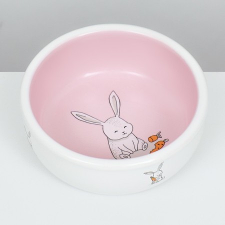 Ceramic bowl for rabbits 200 ml 10 x 3.7 cm, pink/white-3