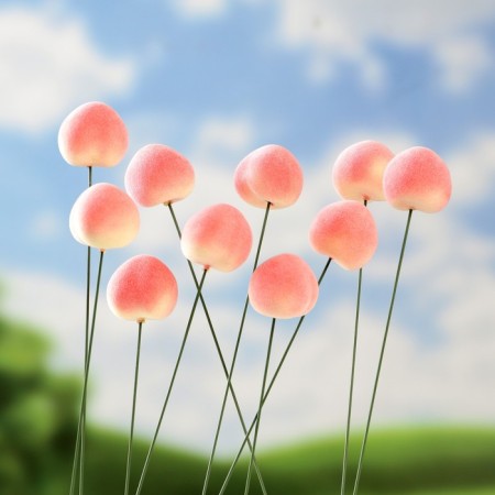 Set of plugs "Persik" 10pcs, 3cm, length 25cm-2