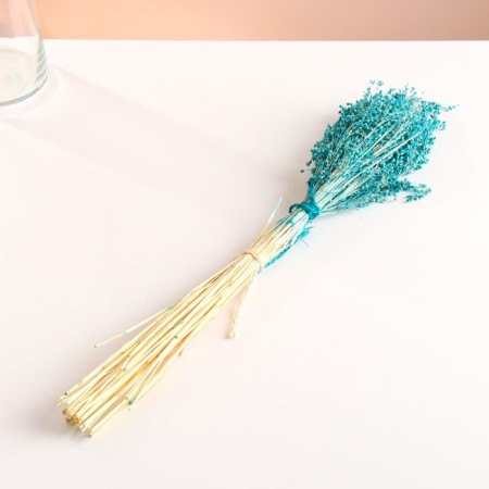 Set of dried flowers "millet", banch length 45 (+/- 6 cm), turquoise-3