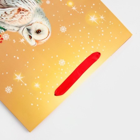 Package Gift New Year Laminated "Owl", 33 x 42.5 x 10 cm.-2