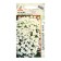 Seeds Arabis Alpine snowball 0.1g*