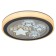 Luer with DPD "Star" LED 160W 3000-6000K gray-white 52x52x8.5 cm Bayerlux