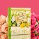 Green Tea Jarra Book with Jasmine, 125 g