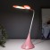 Hameleon Pink Hameleon 28LED USB 5.6W 11x18x49 Risalux