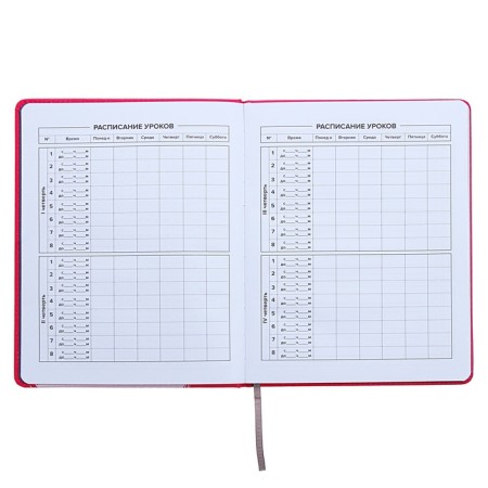 Universal Diary Grade 1-11, 48 sheets "Hare", a solid cover of artificial leather, silkography, OFSET block-9
