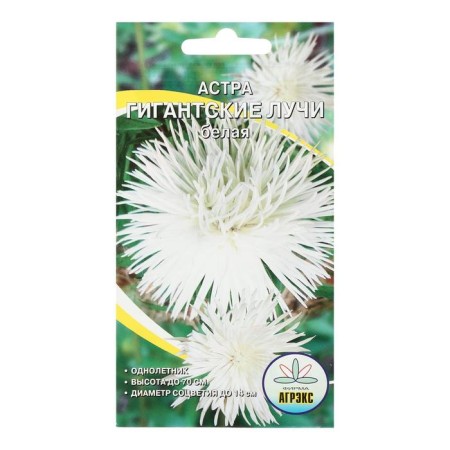 Flower seeds Annual Astra giant rays of white 0.2