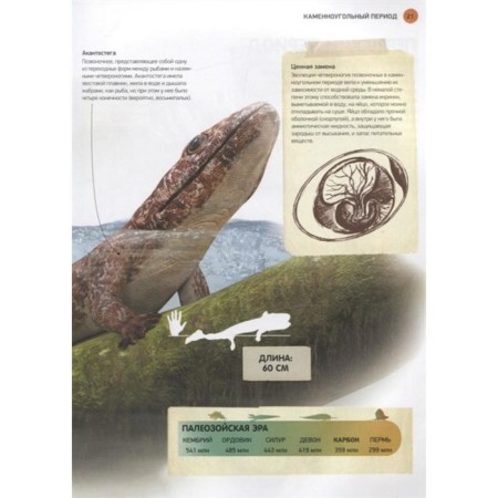 All about dinosaurs. Encyclopedia. Parragon B.-4