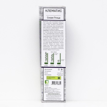 Clematis botanical "Bird", 1 pc, tube, spring 2024-1