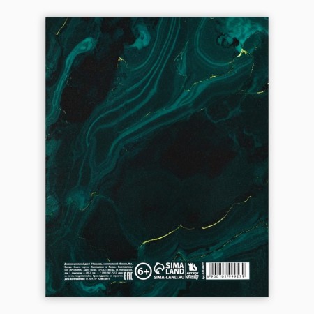 School diary for grade 1-11, in an integrated cover, 40 l. "Gold Shine"-4
