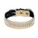 The collar is two-layer leather with rhinestones, width 2.5 cm, Osh 29-39 cm, gold