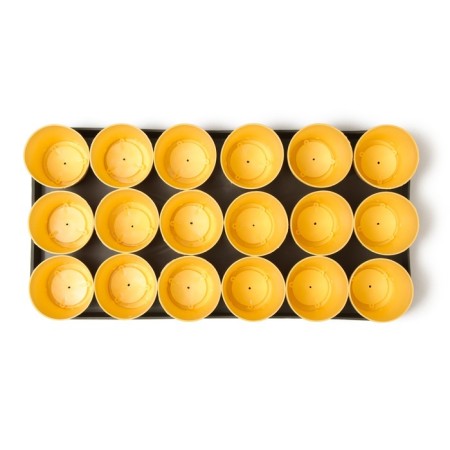 Set for seedlings: glasses of 250 ml (18 pcs), pan 40 × 20 cm, color mix, Greengo-9