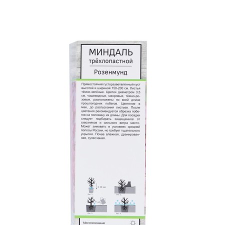 Almonds of three -lobed Rosenmund, tube, 1 pc, spring 2025-1