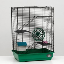 The cage for rodents 