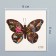 Tattoo on the body color "Black butterfly" 6x6 cm