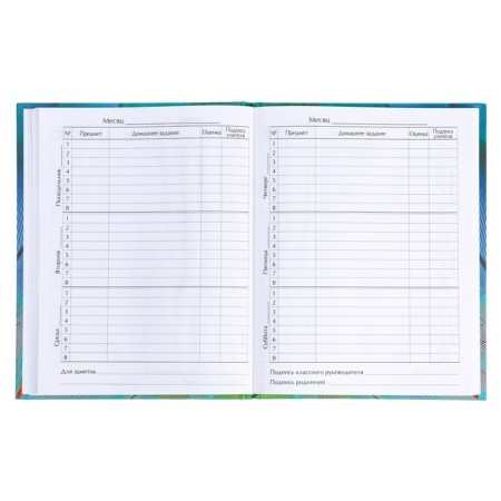 Diary for grades 5-11, "feathers 2", solid cover 7BC, matte lamination, selective varnish, 48 sheets-4