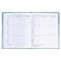 Diary for grades 5-11, "feathers 2", solid cover 7BC, matte lamination, selective varnish, 48 sheets