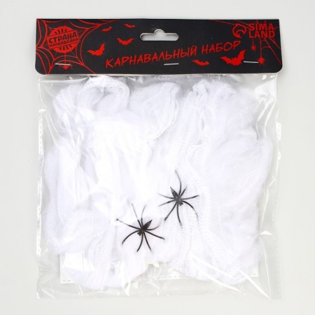 Carnival set "Witch", web, decor-3