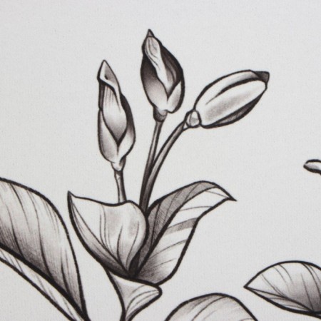 Bathroom mat Ethel "Magnolia", 40x45 cm-2