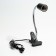 Terrarium lamp, with lighting switch