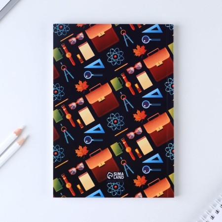 Gift set "Teacher" Diary and 2 pcs of the handle (ball, 1 mm, blue, red pasta)-10