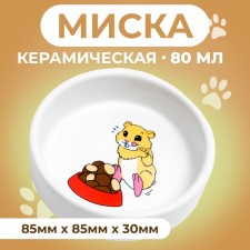 Ceramic bowl for rodents 