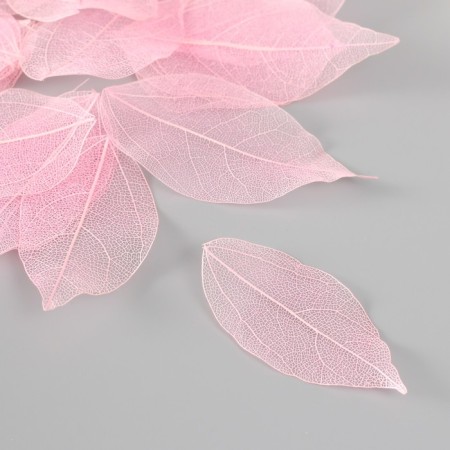 Leaves skeletoned for creativity "light pink" set 20 pcs h = 6-6.5 cm