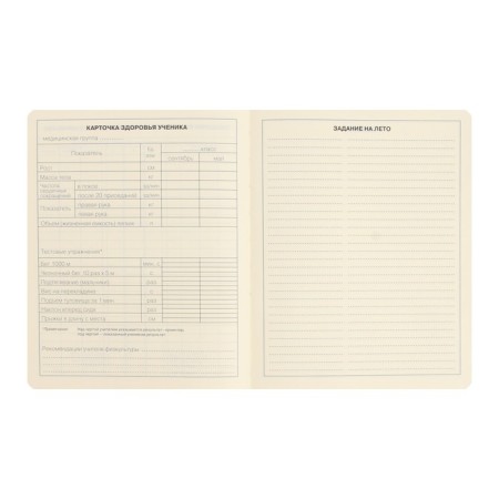 Diary Artificial leather 1-11 grade, 48 sheets, cage, hard cover, Schoolmix. Panda, rounded angles, block 70g/m²-9
