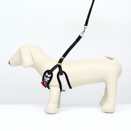 A set with a soft harness and a bow "feathers", size M, leash 120 x 1.5 cm, og 28-46 cm-1