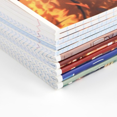A set of notebooks of 48 sheets, 10 objects, internal block No. 1 “September 1: anime” VD LAK-5
