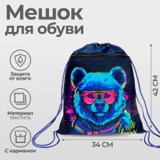 A bag for shoes with a pocket of 420 x 340 mm, calligrata MSO-7C, (soft polyester, density 210D), 
