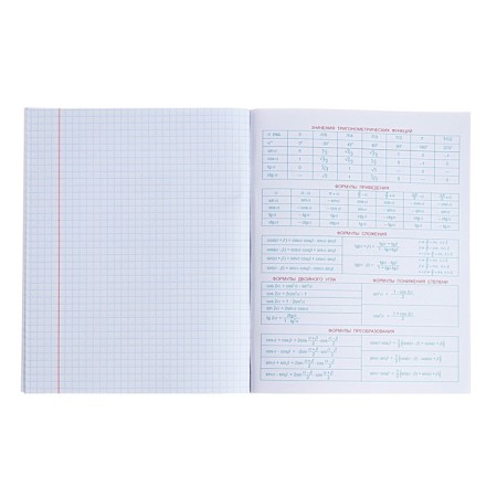 Subject “Domino”, 48 sheets in a cage, “algebra”, plastic cover, offset block-4