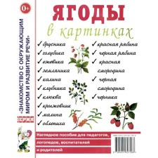 Ягоды в картинках. Наглядное пособие для педагогов, логопедов, воспитателей и родителей