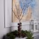LED branch 70 cm, 20 LED, brown, AAH2 (not complete), glow warm white