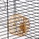 Wheel for rodents is plastic, without a stand, 9 cm, beige