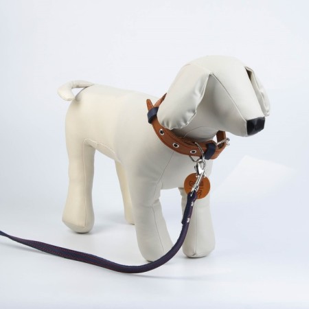 Set: collar (36-56x2.5 cm) and leash (130x1.5 cm), beige and blue color-3