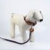 Set: collar (36-56x2.5 cm) and leash (130x1.5 cm), beige and blue color