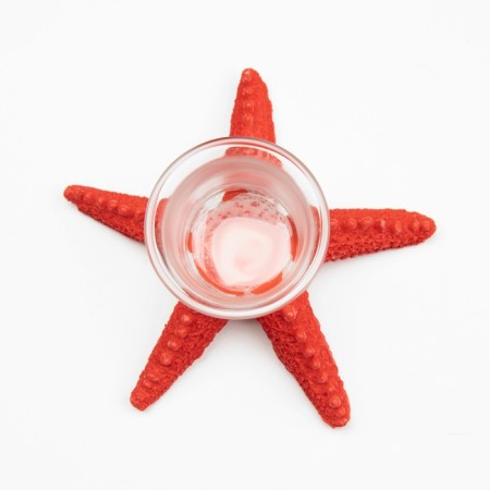 Climb "Sea Star" 13*8cm-1
