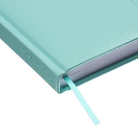 Dated 2025 diary, A5, 176 sheets of Escalada, a solid cover of artificial leather with foam rubber, pancake embossing, liesse, block 70 g/m2, green-2