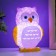 Nightnick "Eagle owl" Led RGB from 3xlr44 mix 6x7x10cm Risalux