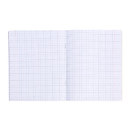 An objective note 48 sheets in the cell "anime. Physics", cover shaking cardboard, UV-lak, OFSET Block-3