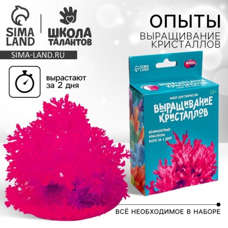 Set for creativity "radiant crystals", color raspberry