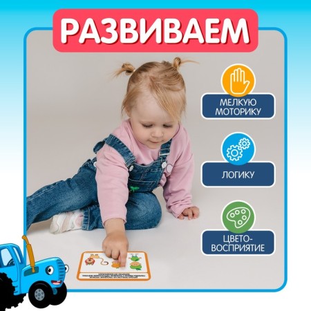 A set of figures with developing cards "Fruits, berries, vegetables"-2