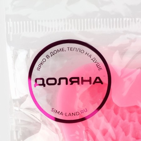 Mold Dolyana "Wings", silicone, 7 × 6.5 cm, color mix-6