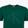T -shirt male, green color/print mix, size l